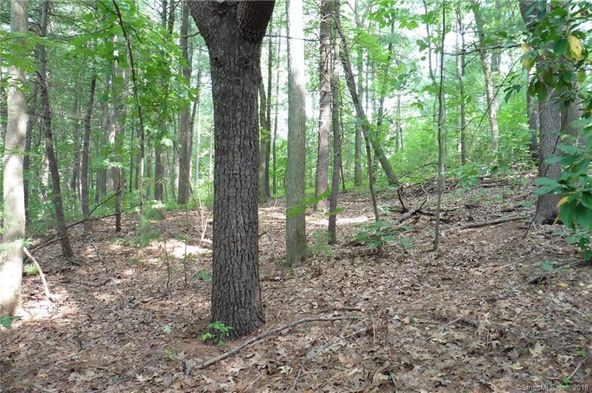 93 Rye Hill Cir, Somers, CT 06071
